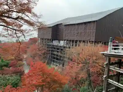 清水寺の本殿・本堂