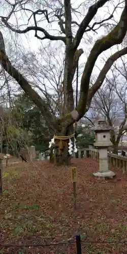 大石神社の庭園