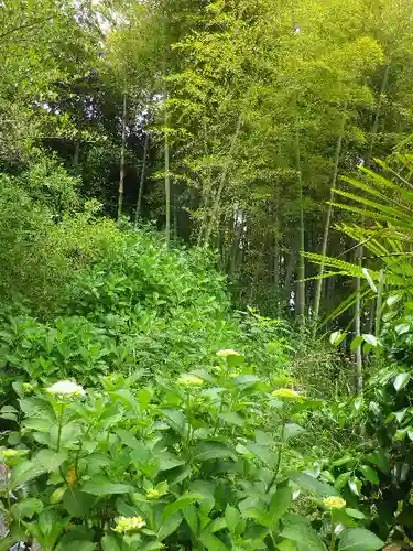 御霊神社の自然