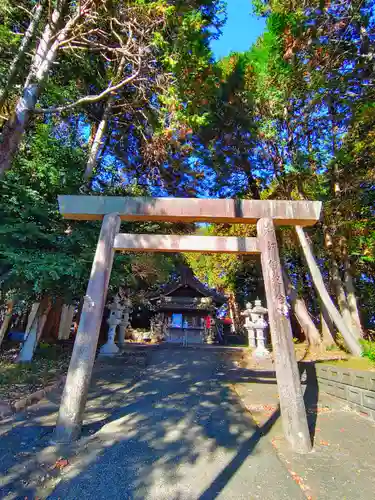 神明社（羽黒堂ヶ洞）の鳥居