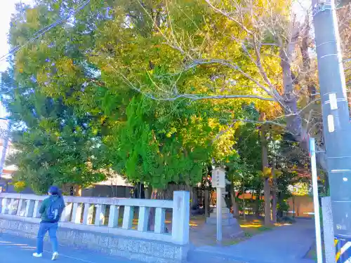 宗形神社の自然