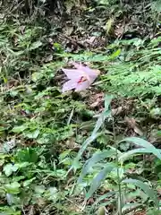 若都王子神社の自然