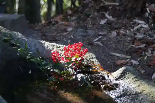 日枝神社の手水