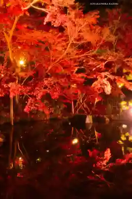 長谷寺(神奈川県)