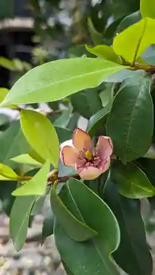 行願寺（革堂）(京都府)