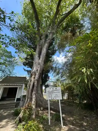 竃神社(兵庫県)