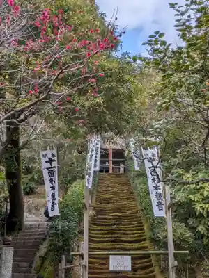 杉本寺(神奈川県)