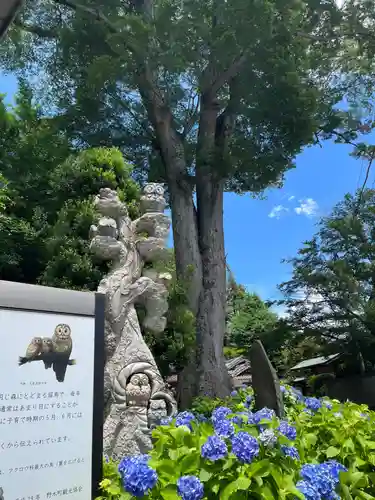 野木神社の建物その他