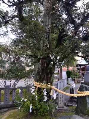 神明神社(福井県)