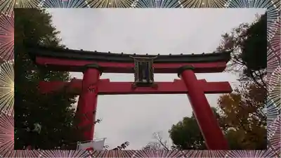 富岡八幡宮(東京都)