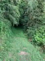 子大権現の自然