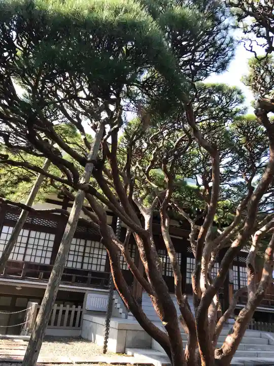 長松寺の自然