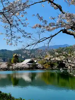 大覚寺(京都府)