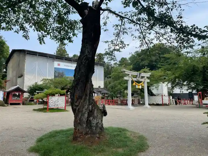 世良田東照宮(群馬県)