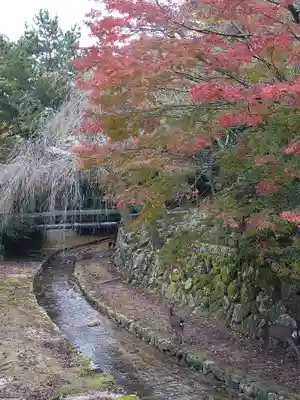 厳島神社の周辺
