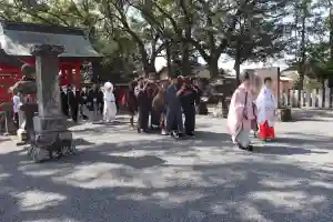 美奈宜神社(福岡県)(2023年03月13日(月) 15時41分55秒投稿)