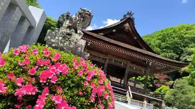 出雲大神宮の{uncategorized: "未分類", other: "その他", undefined: "問題あり", building: "その他建物", grave: "お墓", sacred_gate: "鳥居", guardian: "狛犬", statue: "像", buddha: "仏像", history: "歴史", nature: "自然", garden: "庭園", animal: "動物", pagoda: "塔", temizu: "手水舎", mountain_gate: "山門・神門", sanctuary: "本殿・本堂", subordinate: "末社・摂社", art: "芸術", scenery: "景色", jizo: "地蔵", ema: "絵馬", goshuin: "御朱印", omikuji: "おみくじ", items: "授与品その他", amulet: "お守り", goshuincho: "御朱印帳", eats: "食事", festival: "お祭り", votive_dance: "神楽", shichigosan: "七五三参", wedding: "結婚式", experience: "体験その他", initially: "初詣", around: "周辺", anti_infection: "感染症対策"}