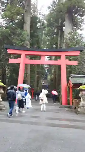 箱根神社の鳥居