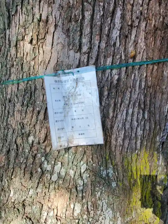 西丘神社の自然