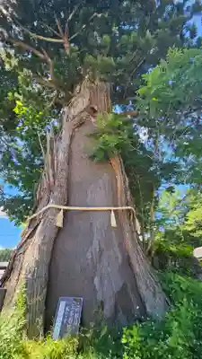 戸隠神社中社(長野県)