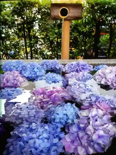 桜神宮(東京都)