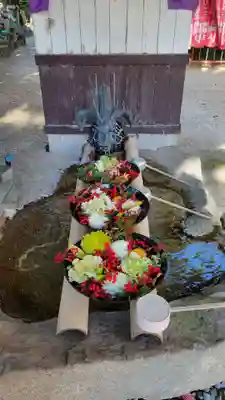 遍照院(愛知県)