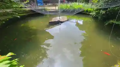 金毘羅寺(愛媛県)