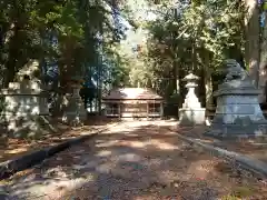 星宮神社の本殿