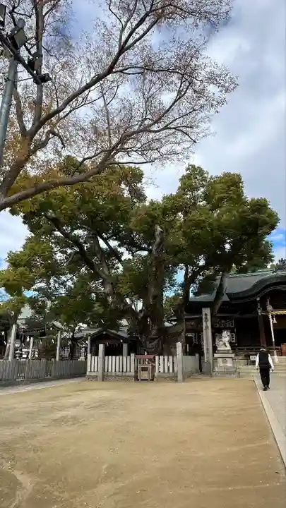 石切劔箭神社(大阪府)