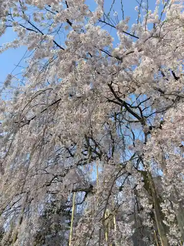 足羽神社(福井県)