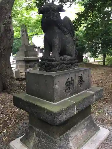 新琴似神社の狛犬