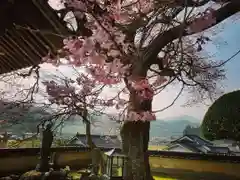 清水寺の自然