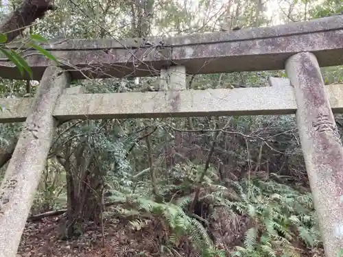 少彦名神社の鳥居