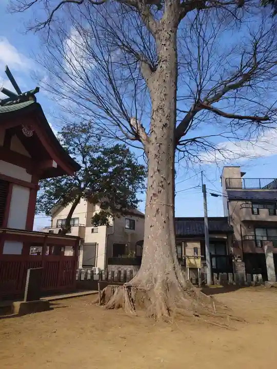 香取神社(千葉県)