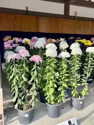 湯島天満宮(東京都)