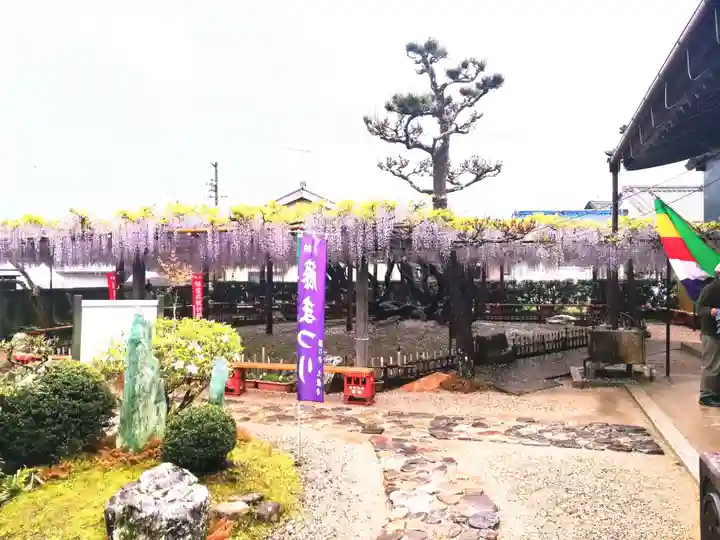 太巌寺(ふじの寺)の庭園