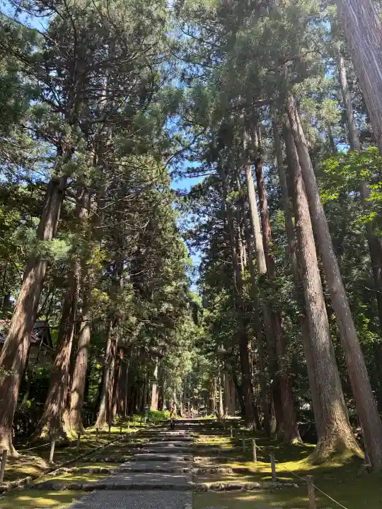 平泉寺白山神社(福井県)