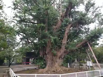 千葉寺のその他建物