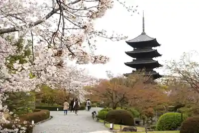 東寺（教王護国寺）(京都府)