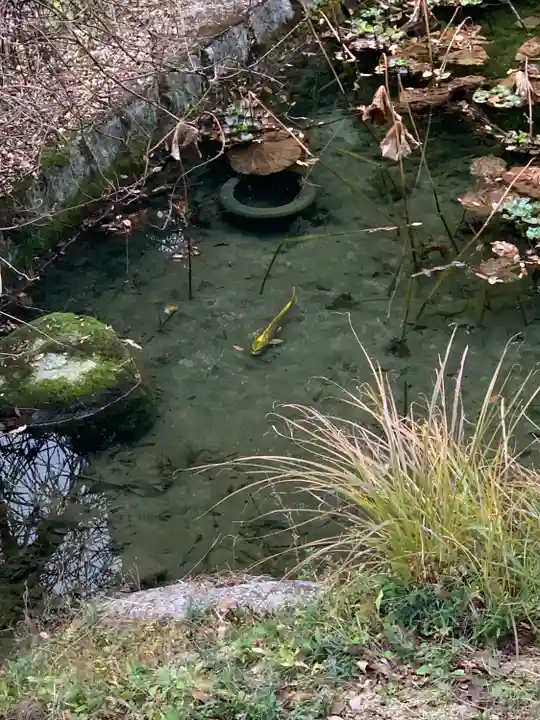 芳徳寺(奈良県)