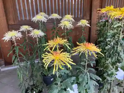 寒川神社(神奈川県)