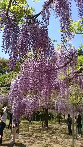 和気神社の庭園