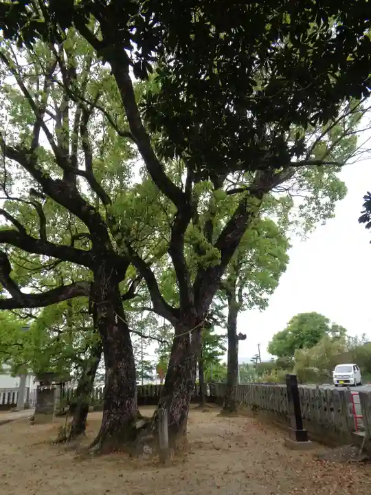 鹿島神社(熊本県)