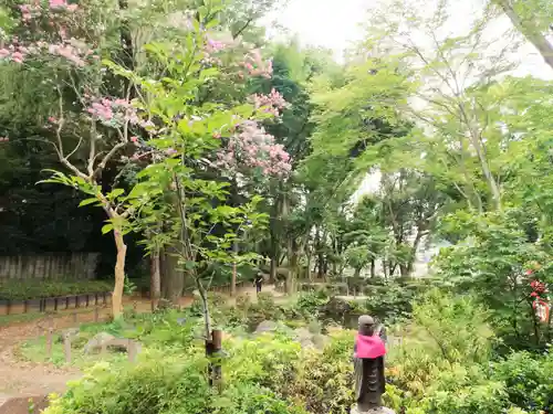 増上寺塔頭 三縁山 宝珠院の庭園