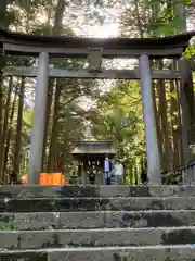 北口本宮冨士浅間神社の鳥居