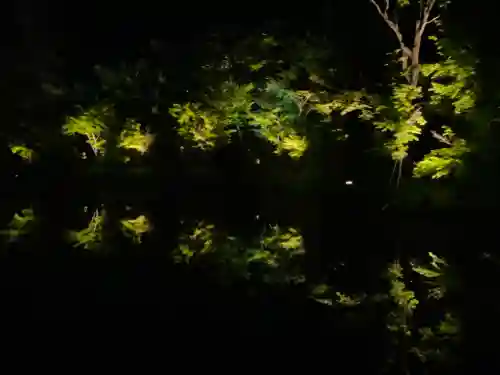 高台寺（高台寿聖禅寺・高臺寺）(京都府)