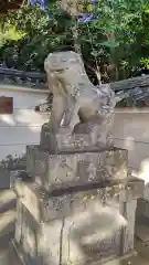 荒見神社の狛犬