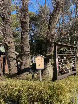 櫻木神社(千葉県)