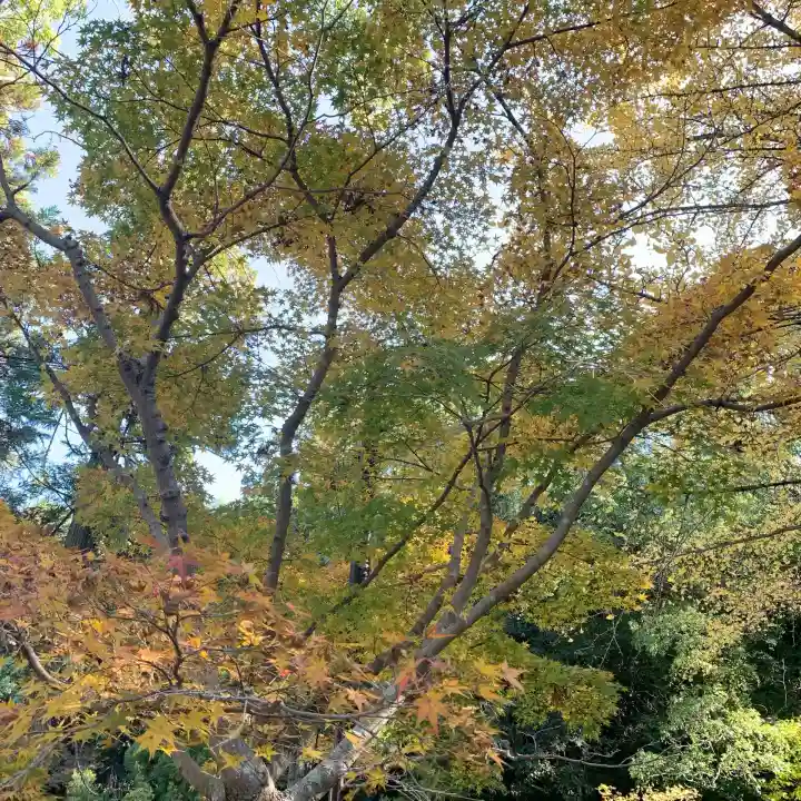 闘鶏神社(和歌山県)