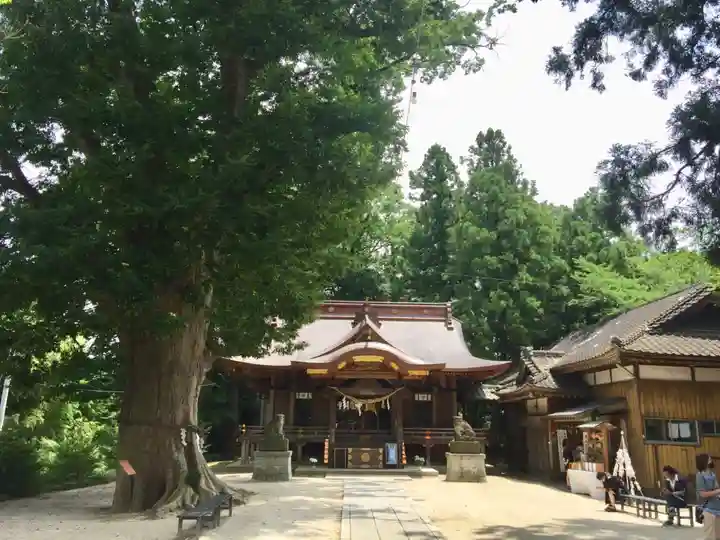 素鵞神社の本殿・本堂